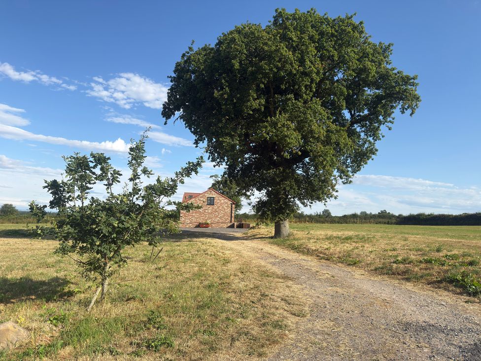 A house near a large tree and a small tree on a gravel path at Westholme Country Lodge in Thirsk
