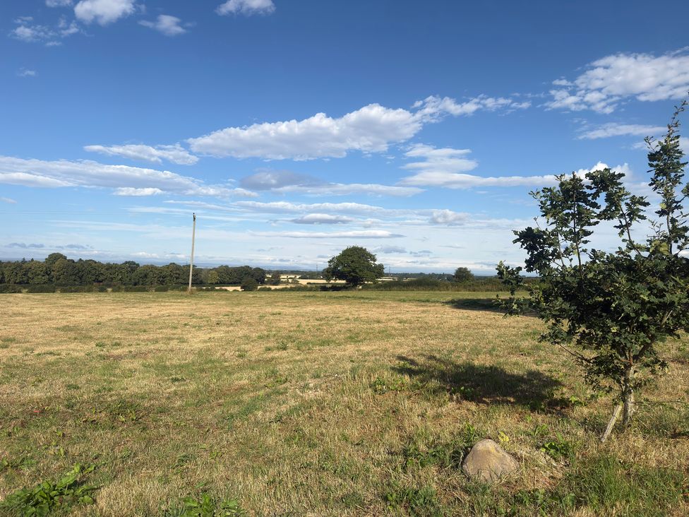 A grassy field with a tree and power pole at Westholme Country Lodge in Thirsk