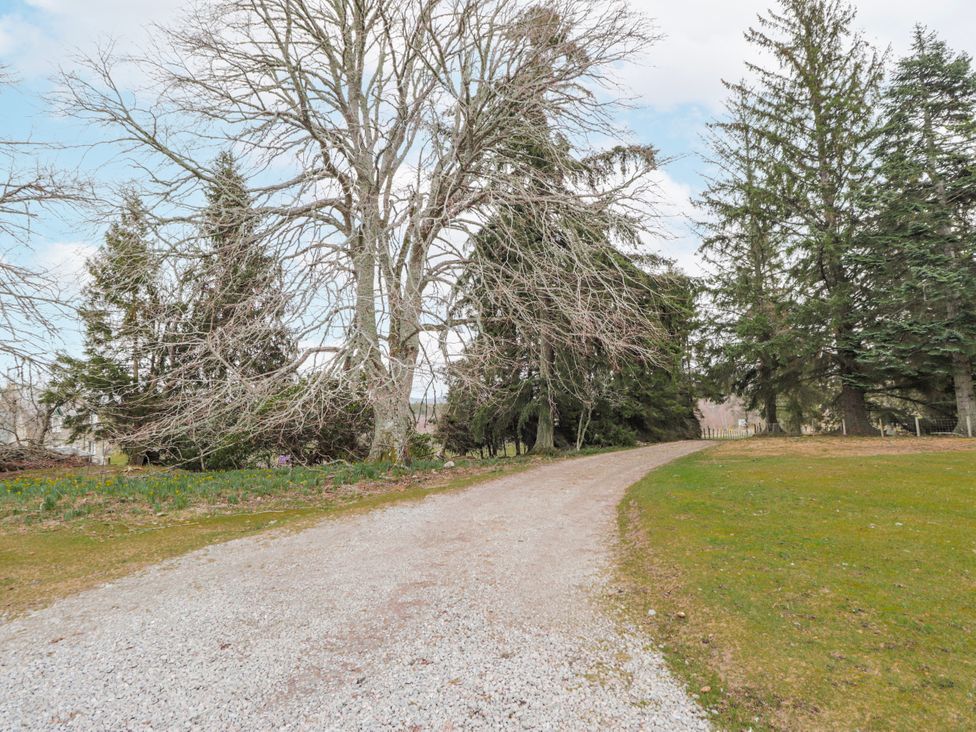 A gravel path lined with trees at Achnagonlin House in Grantown-on-Spey