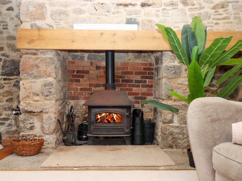 A fireplace with a wood stove and a plant in a living room at The Mill House in Newton Abbot