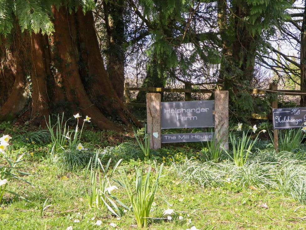 A sign for Halshanger Farm and The Mill House surrounded by grass and flowers at The Mill House in Newton Abbot