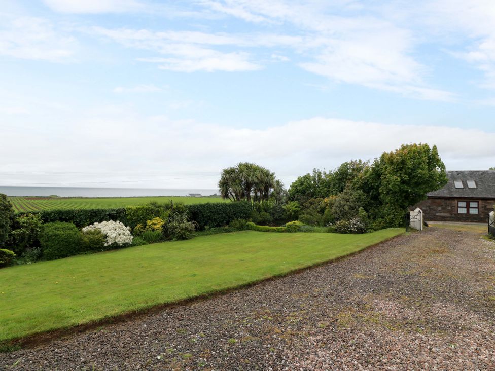 An outdoor scene with grass and flowers at Burnside Bothy near Girvan