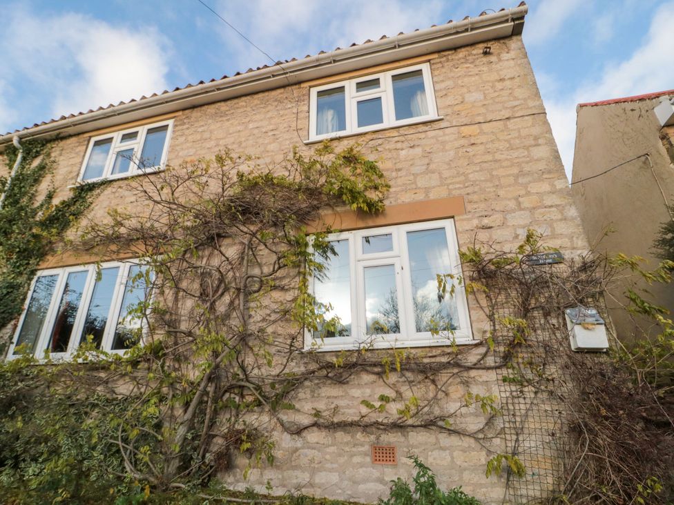 A building with windows and vines at St. Anthonys in York