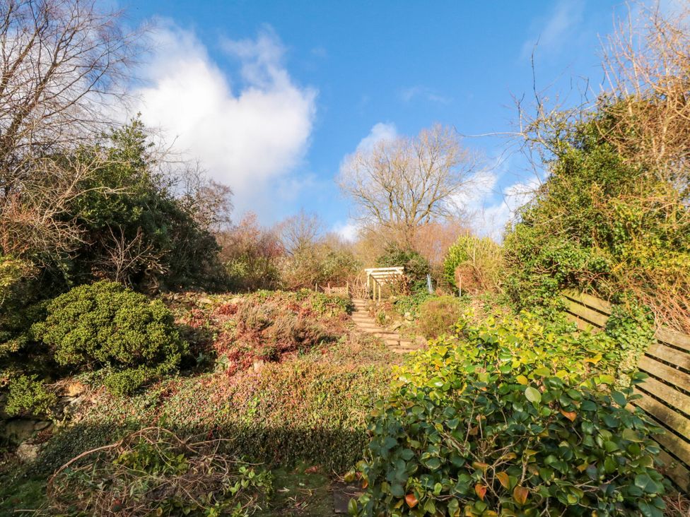 A garden with steps leading up and various plants at St. Anthonys in York
