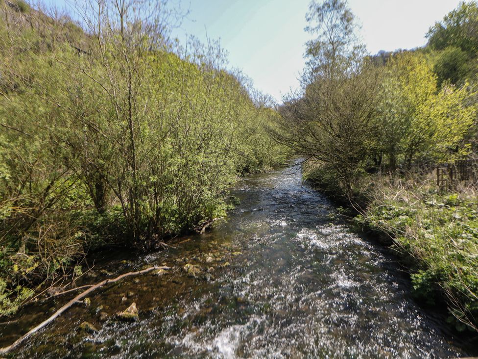 A river surrounded by trees and bushes at Honeysuckle Cottage in 