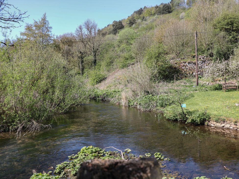 A river with greenery and a bench at Honeysuckle Cottage