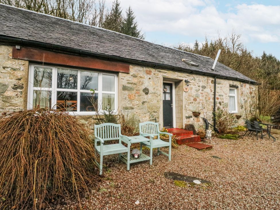 Oak -  - 1196512 - thumbnail photo 1