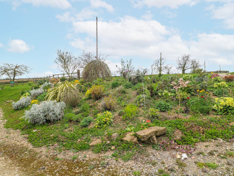 A garden with various flowers and plants at America Lodge in Oakham