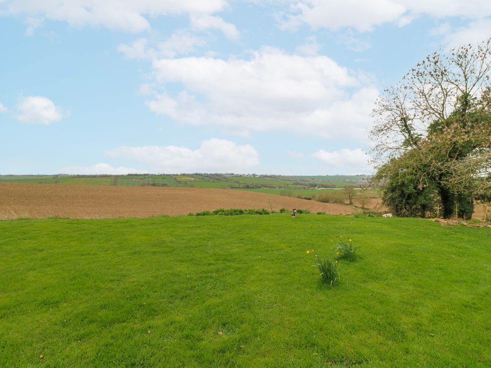 A field with grass and a tree at America Lodge in Oakham