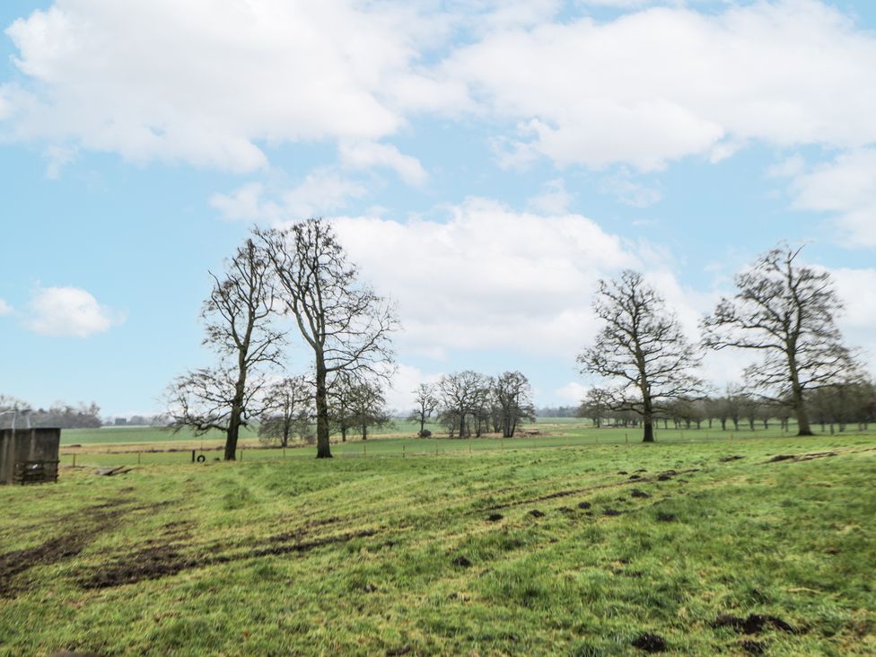 A green field with trees and a blue sky at Courtyard View in Ashbourne