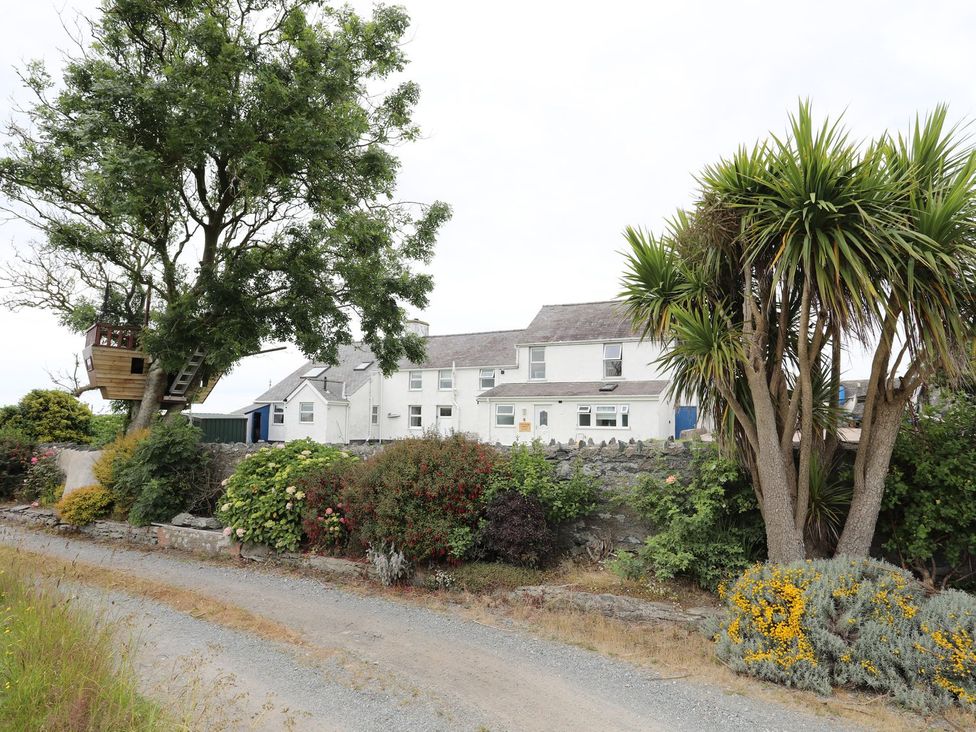 An outdoor view of a building and treehouse at Bodlasan Groes Cottage in Holyhead