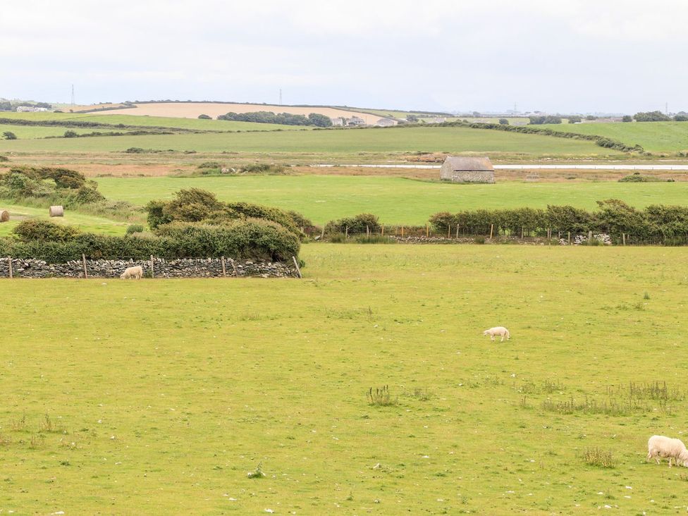 A field with sheep and a stone wall at Bodlasan Groes Cottage in Holyhead