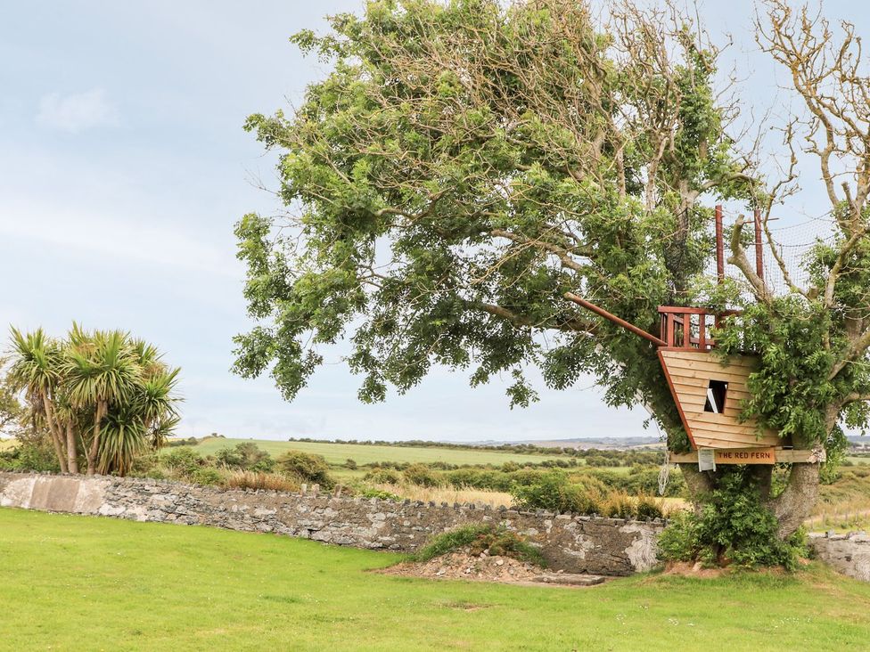 A treehouse in a tree with a stone wall in the background at Bodlasan Groes Cottage Holyhead