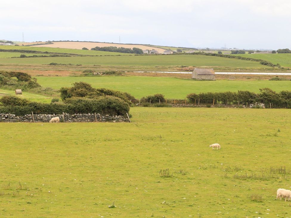 A field with sheep and a stone building at Bodlasan Groes House in Holyhead