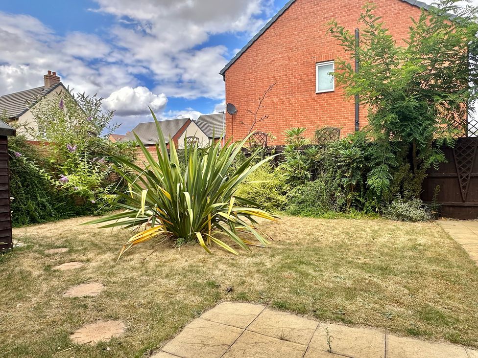 A garden with a large plant and surrounding grass at 2 Clarke Close in Cottenham