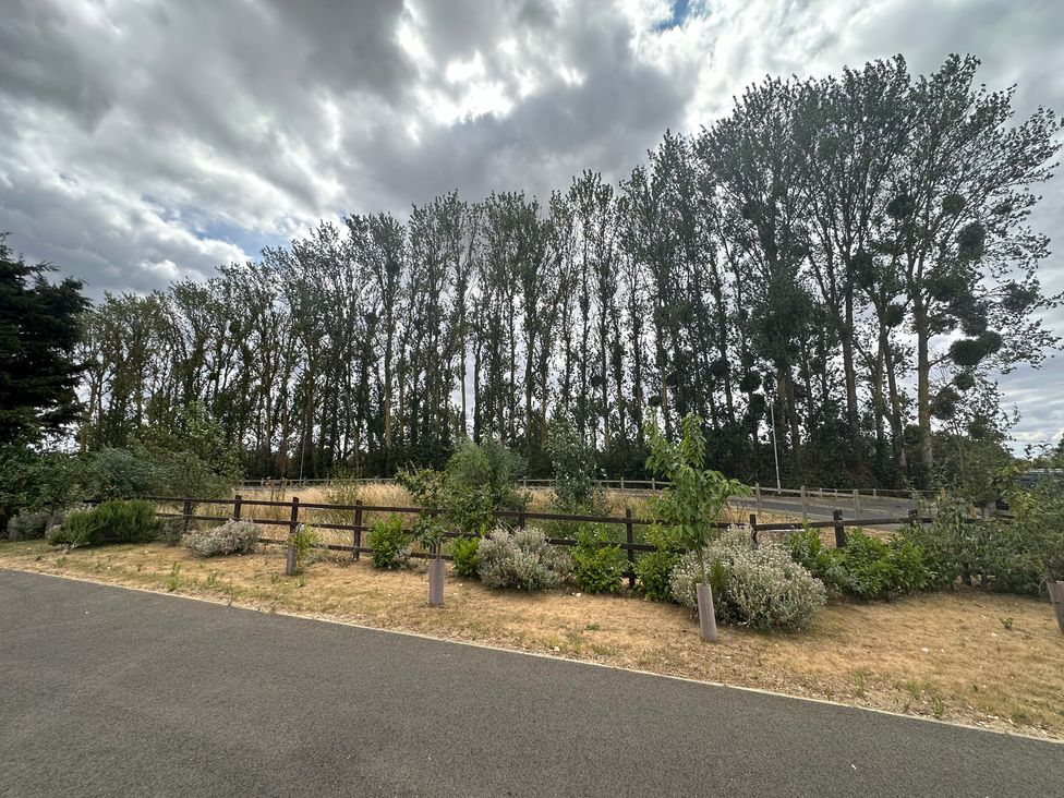 A landscaped area with trees and shrubbery at 2 Clarke Close Cottenham