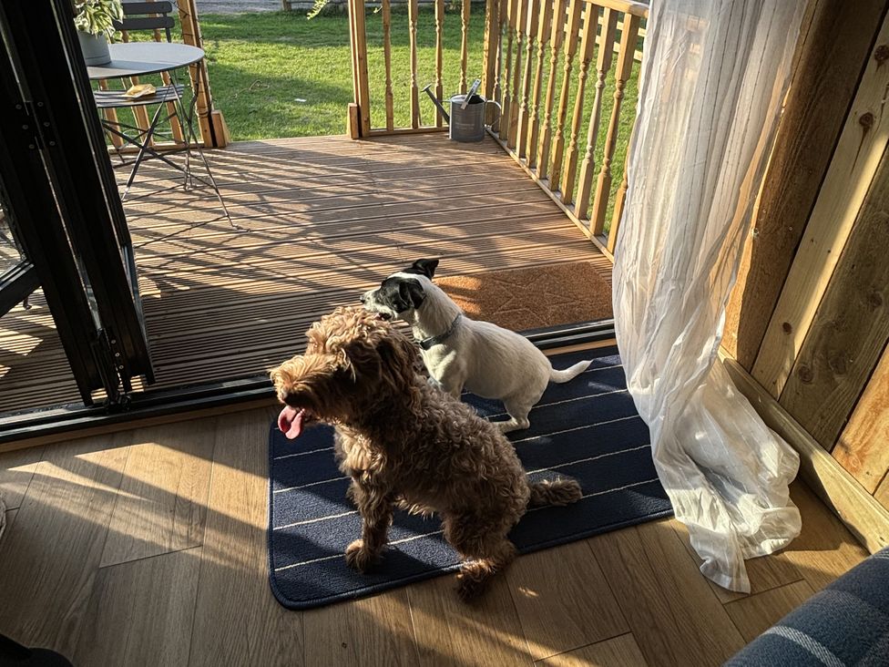 The Suffolk Hut -  - 1196603 - thumbnail photo 3