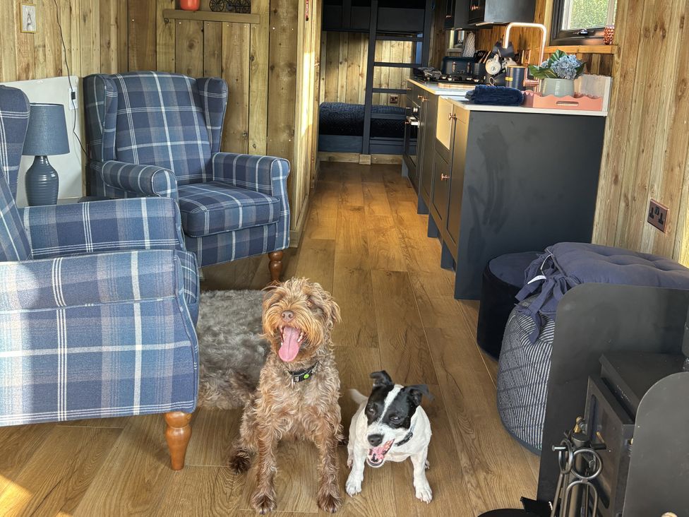 A living room with two dogs on the floor at The Suffolk Hut in Lower Peover, Cheshire