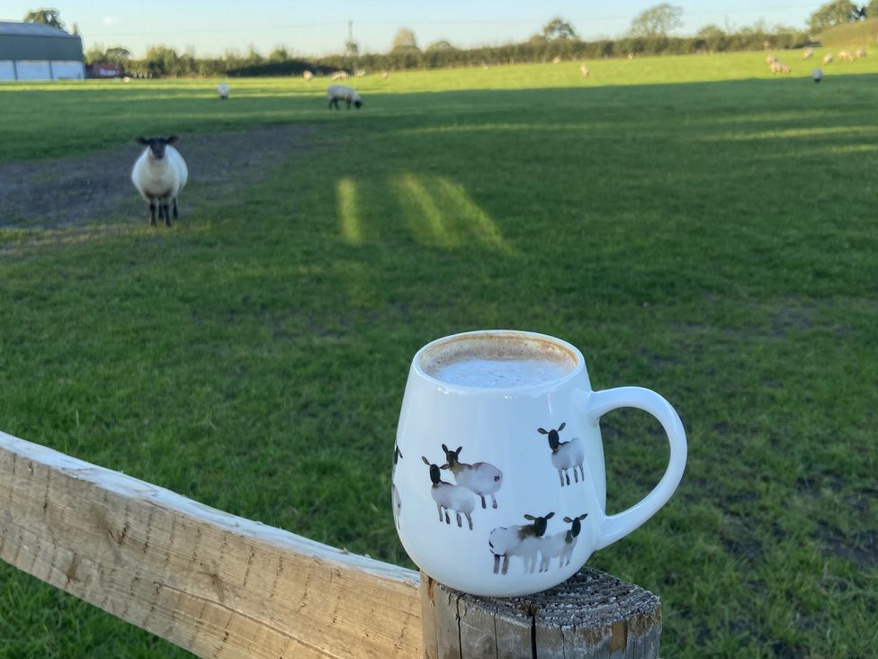 A cup on a fence with sheep in a field at The Suffolk Hut Lower Peover Cheshire