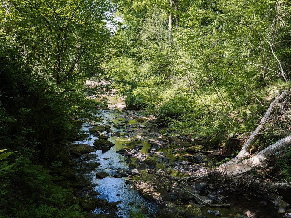 A stream surrounded by trees and vegetation at Carwinley Mill House Cottage Carwinley near Longtown