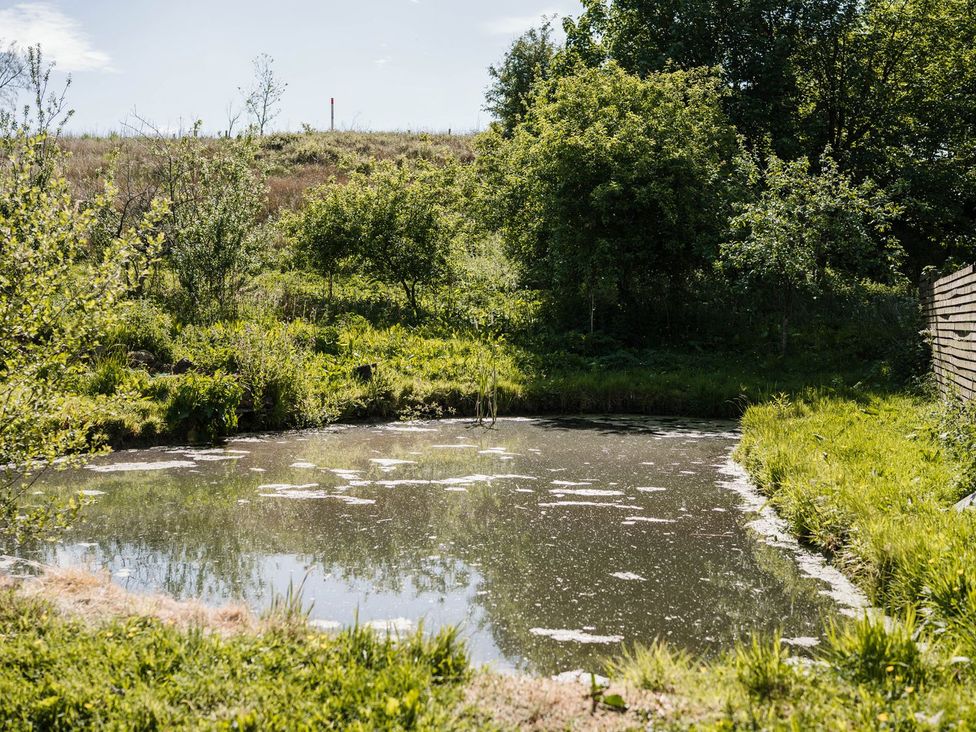 A pond surrounded by grass and trees at The Chard in Carlisle