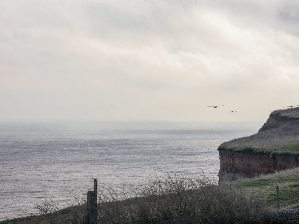 A view of the ocean and cliffs with birds flying at Hornblower Lodge in Whitby