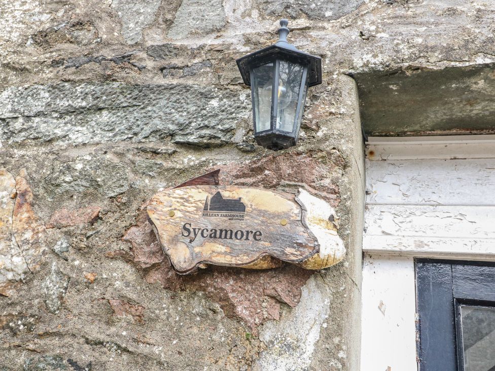 A sign labeled Sycamore on a stone wall at Sycamore, Killean Farmhouse Cottages near Inveraray
