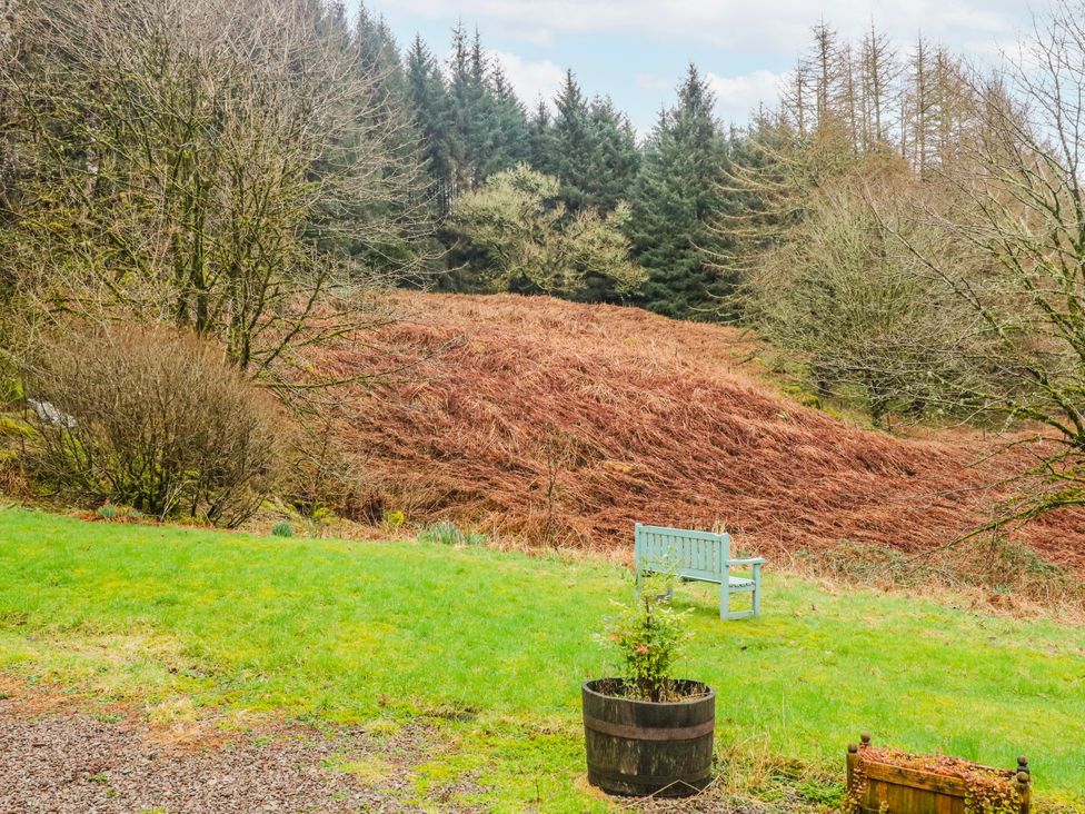 An outdoor area with grass and trees at Sycamore near Killean Farmhouse Cottages