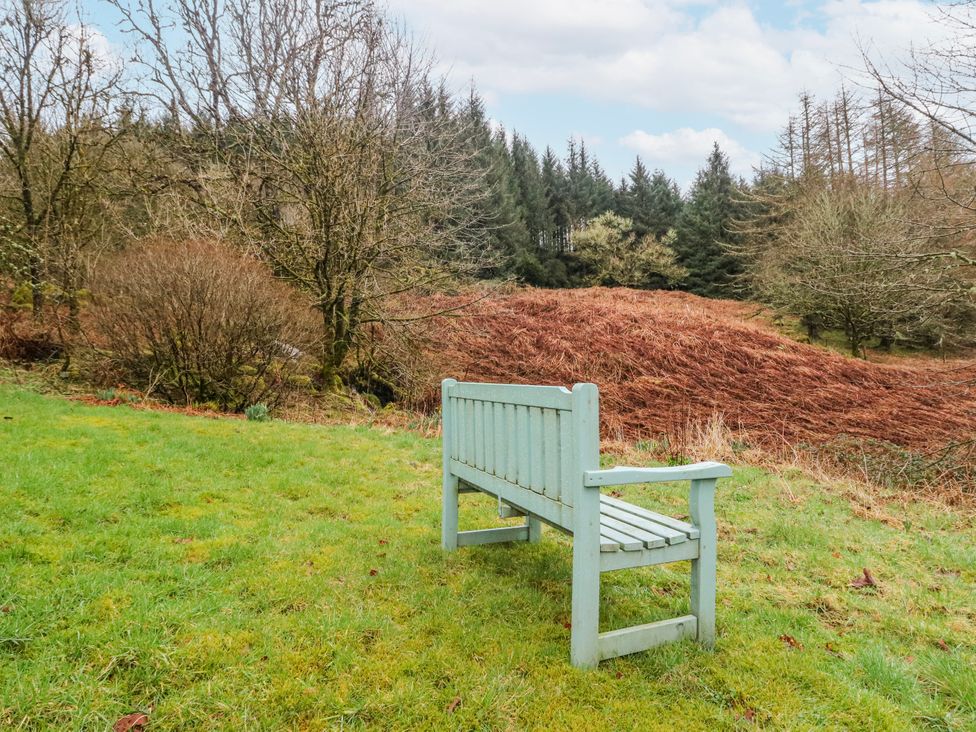 A bench in a grassy area with trees and bracken at Sycamore near Killean Farmhouse Cottages