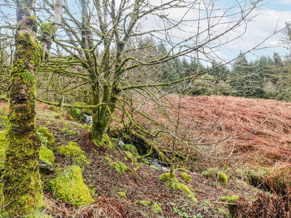 A landscape with trees and a stream at Sycamore near Killean Farmhouse Cottages near Inveraray