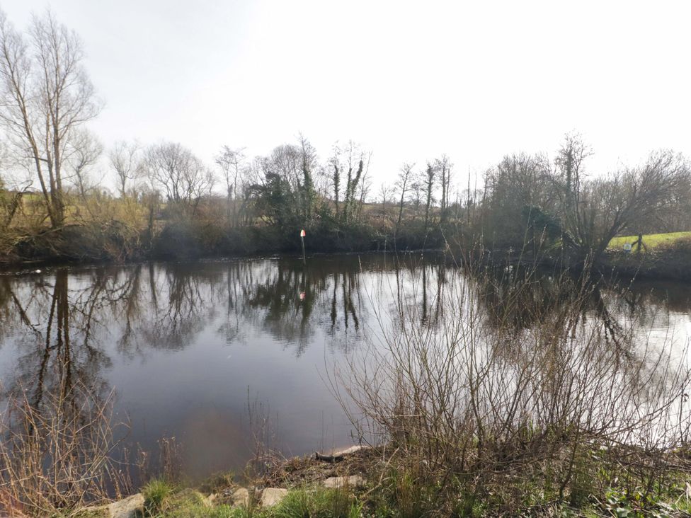 A pond with surrounding trees and reflections at Innishore Cottage