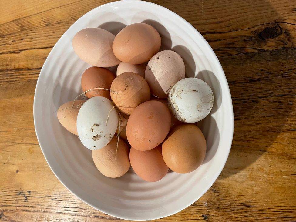 A bowl of eggs on a wooden table at Meadow Lodge in Cerney Wick near South Cerney, Cotswolds
