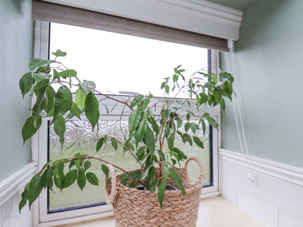 A plant in a basket near a window at Ingleside Cottage in Whitby