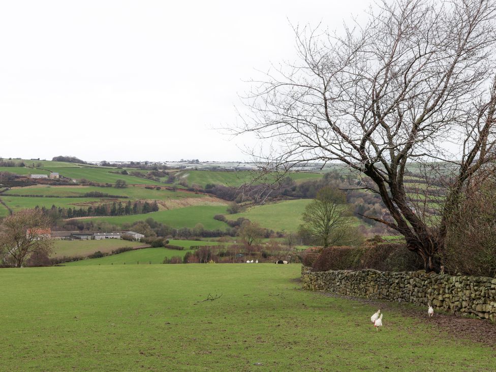 A landscape with a tree, field, and farmhouse at Ingleside Cottage in Whitby