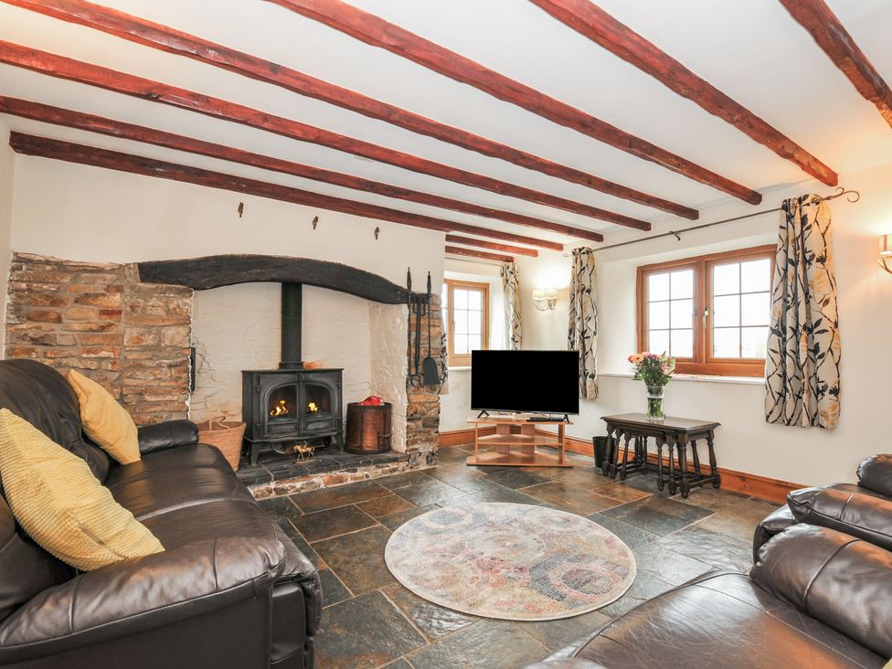 A living room with a television and a fireplace at Little Blagdon in Beaworthy