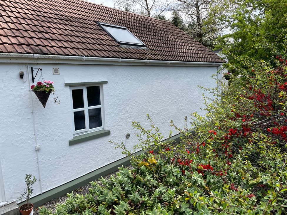 A house with a window and flower pot in a garden at Inglewood Bach in Conwy
