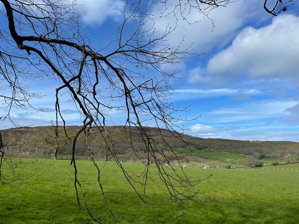 A landscape with tree branches and hills at Inglewood Bach Conwy