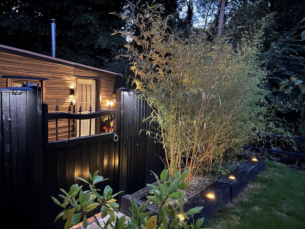 An outdoor area with a wooden cabin and bamboo at Woodland Lodge The Snug in Filby