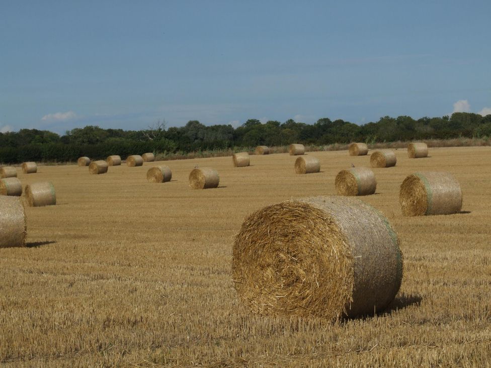 A field with hay bales in a rural area at Woodland Lodge The Snug Filby