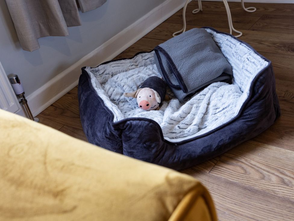A dog bed with a blanket and a toy at Thieveley Pike View in Burnley
