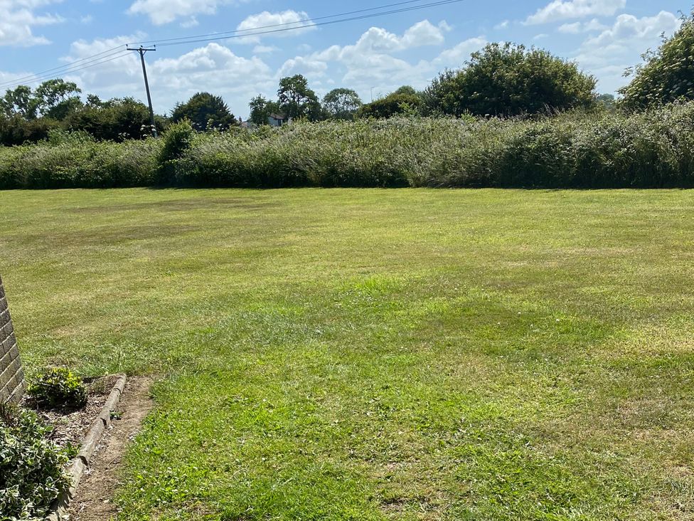 A grassy area with bushes and trees at Chalet 333 California, Norfolk