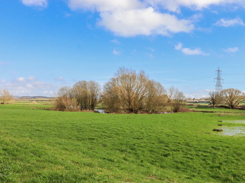 A field with trees and water under a blue sky at Shamrock in Exeter