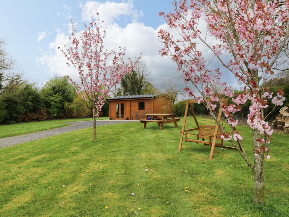 An outdoor space with a log cabin and cherry trees at Nellies Log Cabin Kilcogy