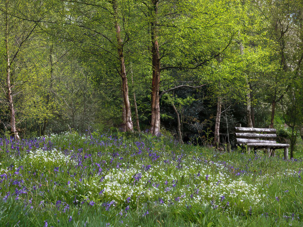An outdoor area with a bench surrounded by trees and wildflowers at Lavender Cottage Bourton, Dorset