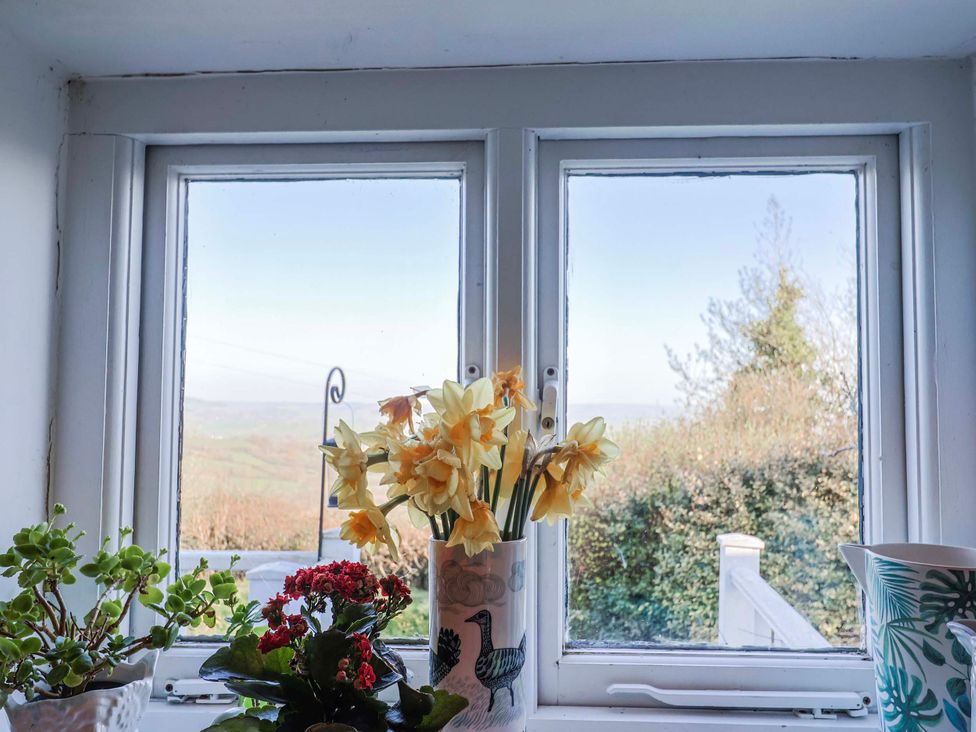 A window with flower pots and a view at 2 Oak Tree Cottages in Marshwood Nr. Hawkchurch