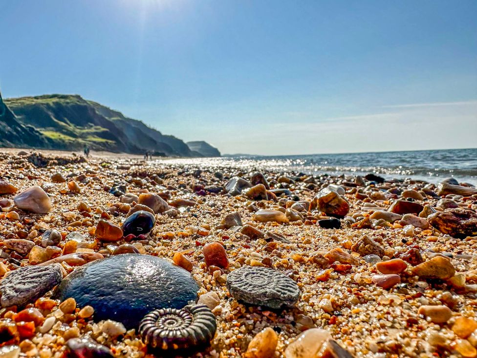 A beach with rocks and shells at 2 Oak Tree Cottages Marshwood Nr. Hawkchurch