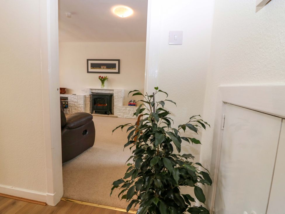A living room view with a fireplace and a plant at Parkhill in Dairsie