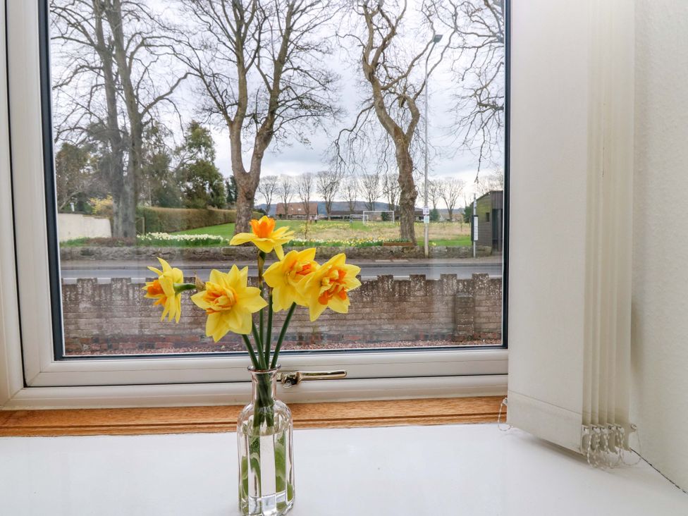 A window with flowers in a vase overlooking a road at Parkhill in Dairsie