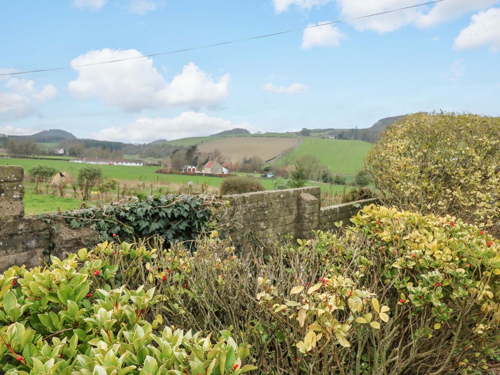 A view of a field and hills from a garden at Parkhill in Dairsie