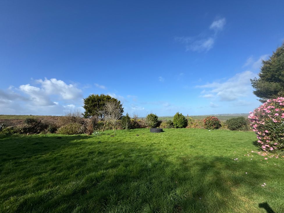 A garden with trees and flowering shrubs at Tor Farm Advent near Camelford